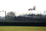 5043 on Madeley Bank 1 - Muriel Taylor